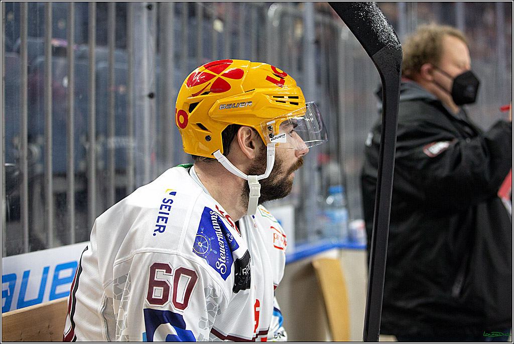 PENNY DEL; Koelner Haie- Fishtown Pinguins Bremerhaven; Koeln, 23.11.2021